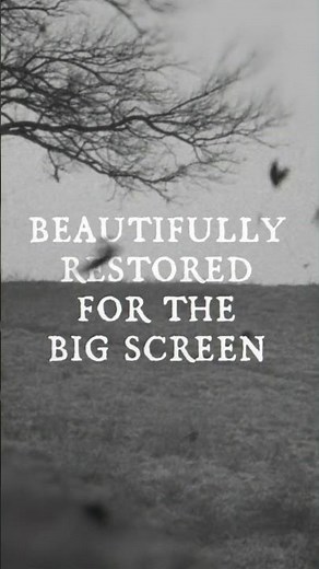 Béla Tarr's work of haunting beauty is now back on the big screen with new 4K restorations #shorts