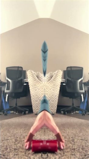 Spider floating spider ￼zooming #meme ￼￼