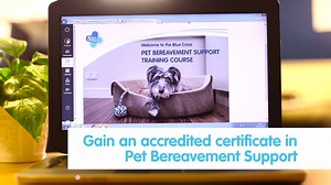 2.1K views · 148 reactions | Our Pet Bereavement Support Service has...