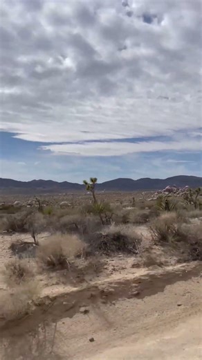 Overlanding Through Joshua Tree National Park