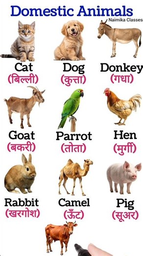 Domestic Animals Names for Kids | Cow🐄 | Animal Names #Shorts