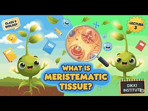 Meristematic Tissue - Full NCERT Concept with Animation | Class 9 | DIKKI Institute