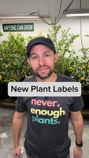 Check out these tree plant labels🌿 Tried many, but these new ones steal the spotlight. Green thumbs up for the perfect blend of style and functionality! #plantgifts #treelabels #fruittrees #containerfruittree #plantlife #meyerlemon