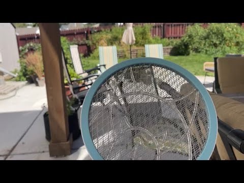 Rechargeable Electric Fly Swatter Review