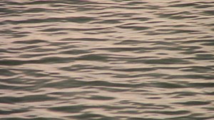 Introducing the LOEWE Flow runner sneaker for Spring Summer 2021, captured in a new high energy campaign. Available on loewe.cm/Flow_Runner #LOEWE #LOEWEflowrunner | LOEWE