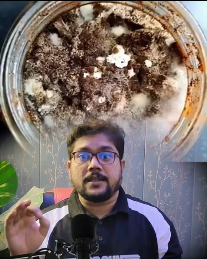 3.1M views · 52K reactions | Safe Pickle Making Disclaimer This video is for educational purposes only. Always follow proper hygiene and safety guidelines while preparing homemade pickles. Results may vary based on ingredients and storage conditions. #PickleMaking #FoodSafety #KitchenTips #DIYPickles | Dr. Cardio | Facebook