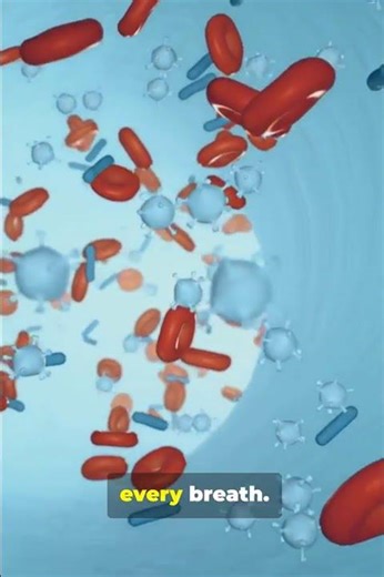 🔥The Strongest Base in Your Body ⚗️🛡️🔥 #facts #humananatomy #science