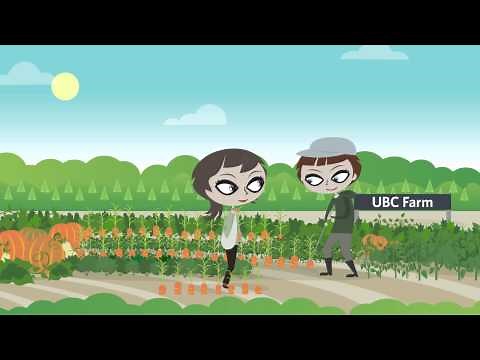 A Day in the Life of a Living Lab