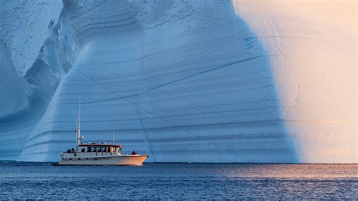 Protected Antarctic oceanic life threatened by ships anchoring, first underwater videos show