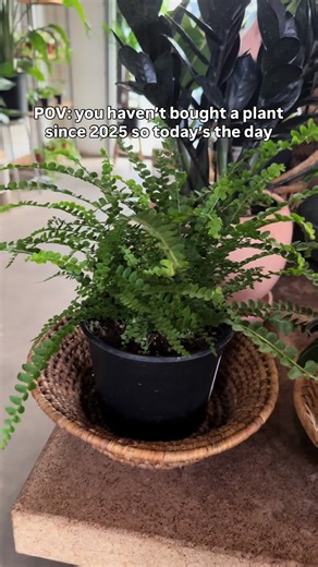 Hire Trusted Plant Sitters with Leaf’Em App