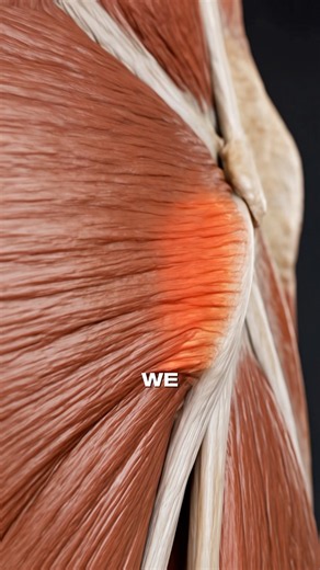 How to recover and comeback to sport after a hamstring strain? #physicaltherapy