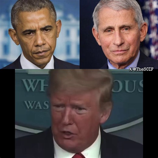 @POTU @VP @LeaderJohnThune @SpeakerJohnson@GOPMajorityWhip @RepLisaMcClain @SecRubio@SecKennedy @SteveDaines @TimSheehyMT @FBIDirectorKash @MattRo @SecScottBessent @SenateGOP @HouseGOP @elonmusk Yet feckless Republicans just stand by and allow the fraud, criminality and Nazi disinformation to rule the day by the Democrats, by Barry Barack Hussein Soetoro aka @BarackObama, Wahhabis Muslim, born in Kenya by his own admission many times, last known citizenship Indonesia where he did his Wahhabis Tr
