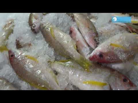 Surimi: How Is the Product Made?