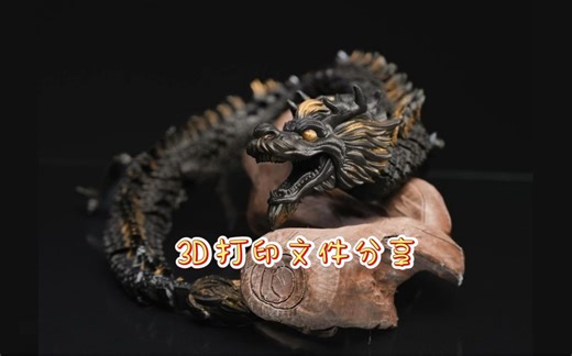 3D打印模型文件分享 BC24-3-3 FDM龙 战棋包 骰子塔 等