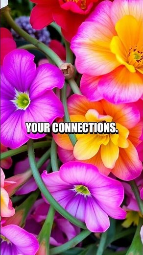 Understanding the Primacy Effect in Memory Recall