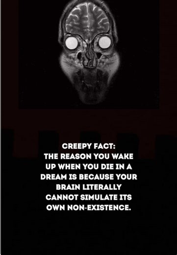 Understanding Dreams: The Brain's Survival Simulation