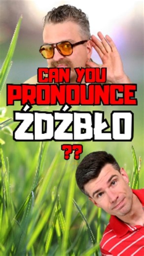 Unkie Roman & Shwaggier Janush on Instagram: "In this episode, we break down the anatomy of this linguistic monster. If you manage to pronounce it correctly, Uncle Roman grants you 12 Points in the Polish Ranking System. Collect enough points, and maybe you will survive the winter. 👇 CHALLENGE: Try to type "ŹDŹBŁO" in the comments with your eyes closed! Let’s see what happens. Don't forget to SUBSCRIBE for more Polish Survival Lessons! (Or Uncle Roman will come to your house and check your slip