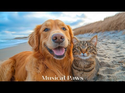 Calming Music for Dog & Cat🦮💖Soothing Sounds for Relaxation to Dog & Cat | Ease Separation Anxiety