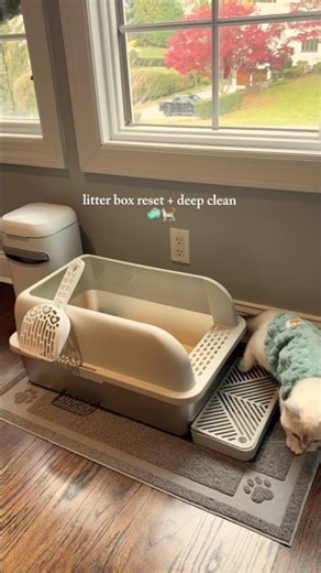 Litter Genie + Stainless Steel Litter Box! The best way to reduce odors!