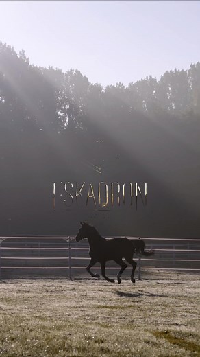 Pikeur Reitmoden GmbH & Co.KG on TikTok