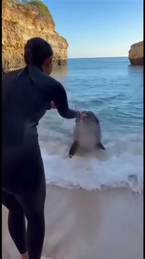 An Incredible Love Between a Girl and a Dolphin 😯