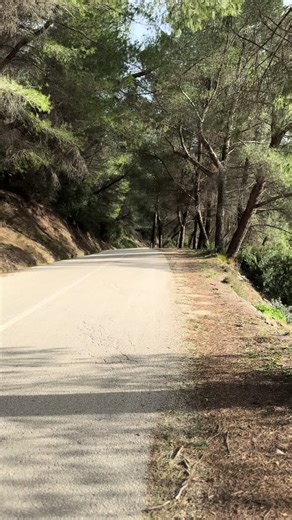 Car rental Albania #car #rental #creatorsearchinsights