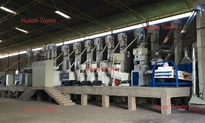 [Hot Item] 100t Per Day Rice Processing Complete Set Equipment Rice Milling Plant Rice Miller