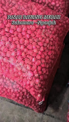Update on Red Onion Prices in Sukomoro, Nganjuk