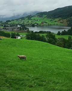 137K views · 2.4K shares | Look at those red apples - Voss, Norway  | Aurora Borealis Observatory | Facebook