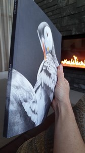 3.3K views · 455 reactions | After an entire career looking up to the stunning work by the world's finest bird artists in the Birds in Art exhibition catalogue, I am now included in the ranks. It's all very exciting, especially to be here for the opening. I hope you can enjoy it with me here a little along the way  | Heidi Willis ~ Artist | Facebook