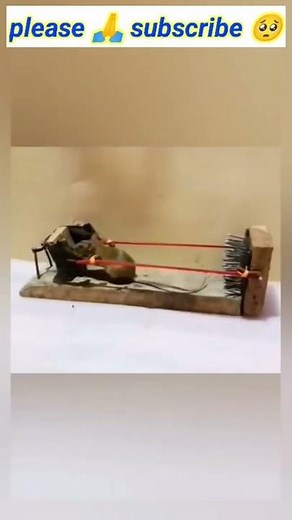 Mouse looping 😥😨#shorts