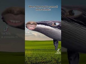 I'm going to name you cockroach