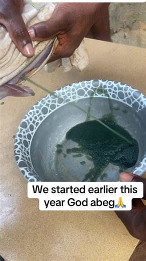 Catfish Breeding Process in Nigeria Explained