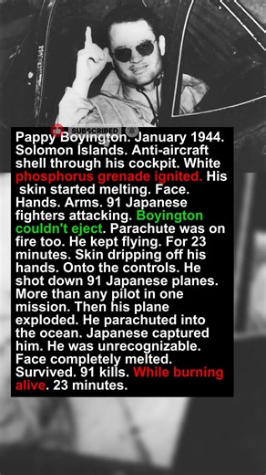 1 Burned Pilot Killed 91 Japanese While His Skin Melted Off