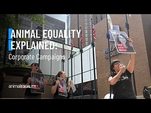 How You Can Become the Most Powerful Force Against Animal Cruelty