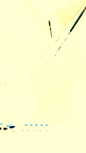 Too Many Flooz Tour is On Sale Now! 🎛️🎺🥁 Feel the funk with The Floozies Too Many Zooz this winter. Tickets at flooziesduo.com and toomanyzooz.com | TOO MANY ZOOZ