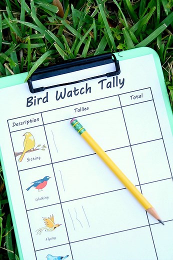 Free Printable Bird Watch Tally Sheet - Fantastic Fun & Learning