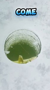 25K views · 142 reactions | Big fish on ultralight rod and micro jig! #icefishing Fishing & Hunting in Manitoba | Fish Frostbite | SAIL | HD Innovations Co | Catch and Cook | Eskimo Ice Fishing Gear | Taro Murata-FishCity Tours | Facebook