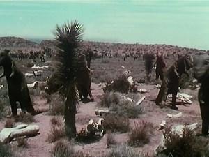 These are the dumbest dinosaurs you've ever seen and they can only be found on UNKNOWN ISLAND: new riff! https://rifftrax.com/unknown-island | RiffTrax