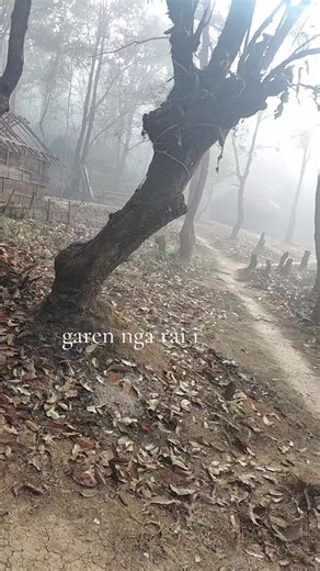 Understanding the Nuances of Ningnan Language