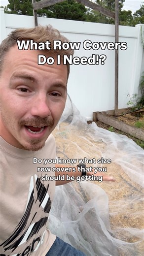 2.2K views · 51 reactions | Comment COVER and I’ll send you the bug...