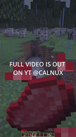 I HAVE OFFICIALLY LOST IT