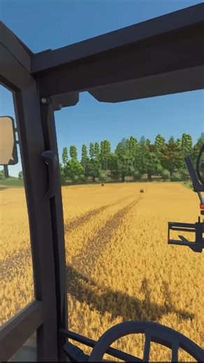 4.4K views · 24 reactions | FS25 EXCAVATOR #fy #viral #ls25 #foryou #forester #forestry #excuvatorlife #logging #caterpillar #bagger #ls22mods #fs25 #construction #volvo | Handballfreunde Rostock | Facebook