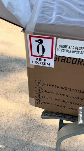 HellRightGuy on TikTok