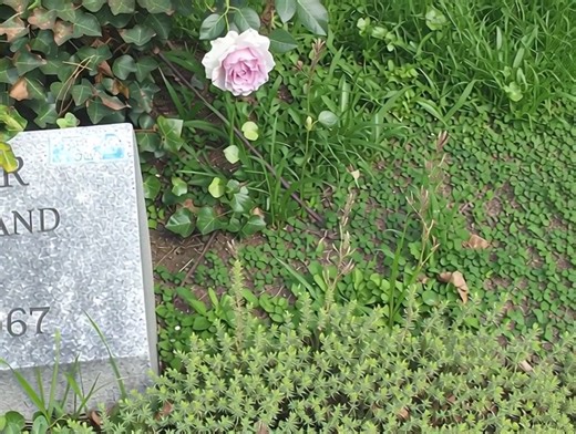 35K views · 401 reactions | The grave of Bert Lahr at Union Field Cemetery in Queens, New York | Hollywood Page of Death | Facebook