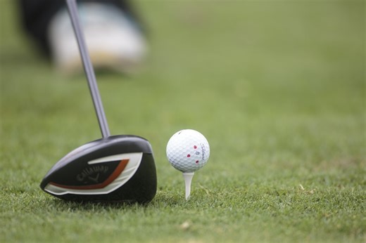 Want to own a golf course? This one south of Ann Arbor is for sale for $3.8M