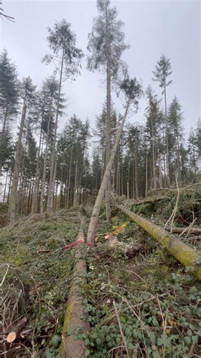 62K views · 374 reactions | If in any doubt use a winch…keeps you at...