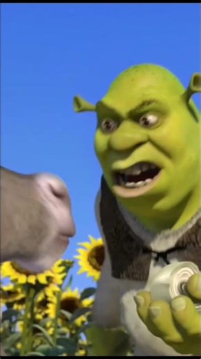 Shrek - Ogres Are Like Onions!