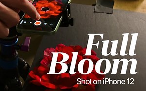 Shot on iPhone 12 — Everyday Experiments: Full Bloom | Apple
