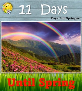 13K views · 528 reactions | The Countdown to Spring    https://daysuntilspring.net   . #Spring #Spring2025 #SpringCountdown #countdown #sunandfun #CountdowntoSpring | Spring Countdown | Facebook